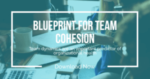 Blueprint for Team Cohesion
