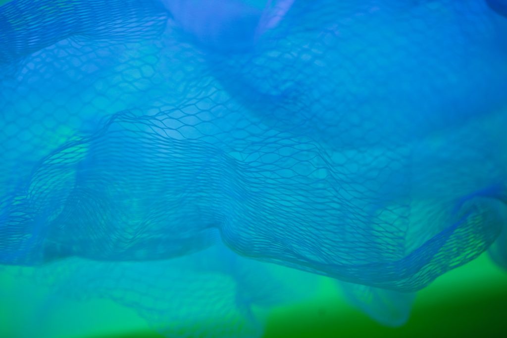 Blue Net